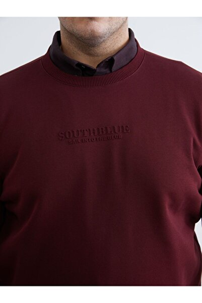 LC Waikiki Crew neck printed men's sweatshirt