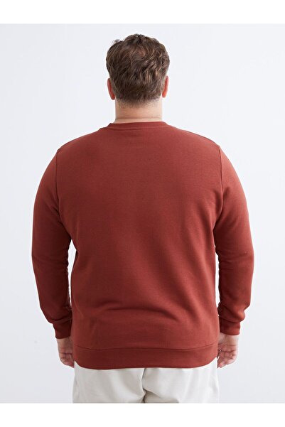 LC Waikiki Crew neck printed men's sweatshirt