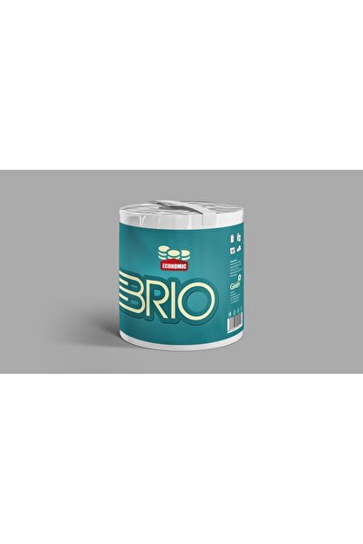 OEM Brio kitchen towel, 2 layers, 210 sheets