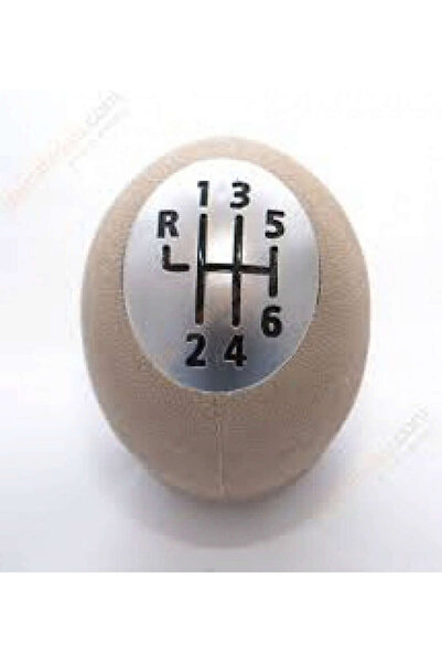 Özar مقبض ناقل الحركة LVSQVR 6R067 MGN III-SCENIC (232502) YM. بيج كروم