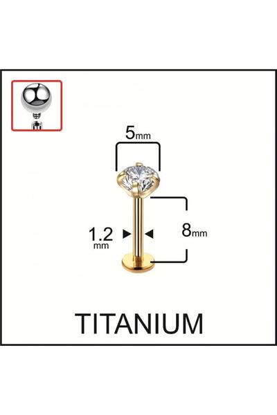 Rupen Kraft %100 G23 Titanyum Zirkon Tek Taşlı Pırlanta Model Kıkırdak Conch ...