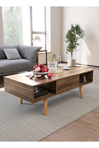 AnneFish Coffee Table With Large-capacity Storage Double-layer Simple Installation Coffee Table