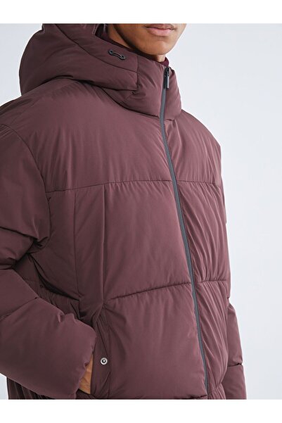 LC Waikiki LCW Vision Rahat Kalıp Kapüşonlu Erkek Şişme Mont