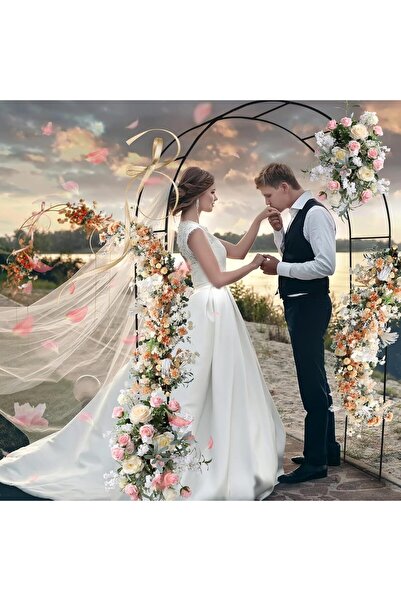 Generic قوس حديقة معدني من Andtooy، قوس خارجي بطول 7.8 قدم (أسود)