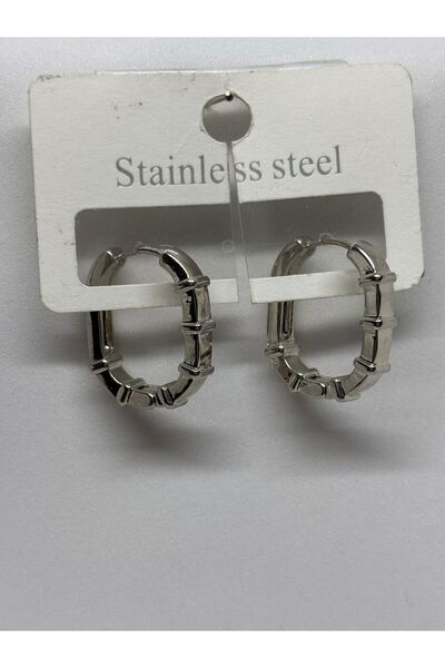 staınless steel Steel Bijouterie Earrings
