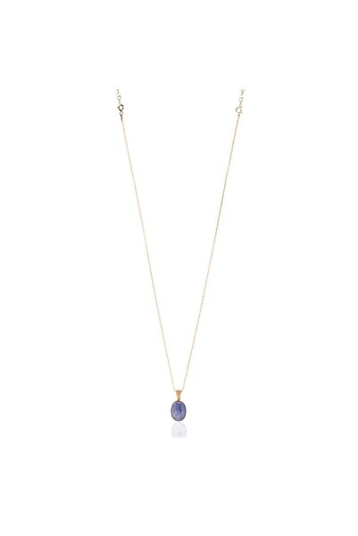 Astrolog Elvan 925 Ayar Gümüş Üzeri Altın Kaplama Kyanit Rüya Taşı Kolye Doğa...