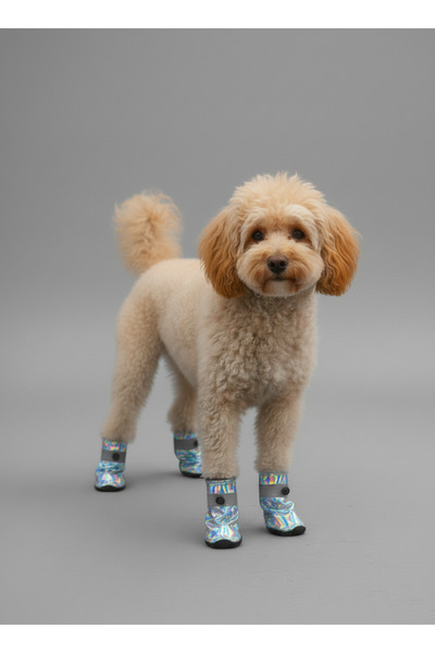 Monopetz Yeni Sezon Köpek Pati Koruyucu Ayakkabı – Holografik Ayakkabı , Su Geçirmez, Kaymaz Taban 4 Adet