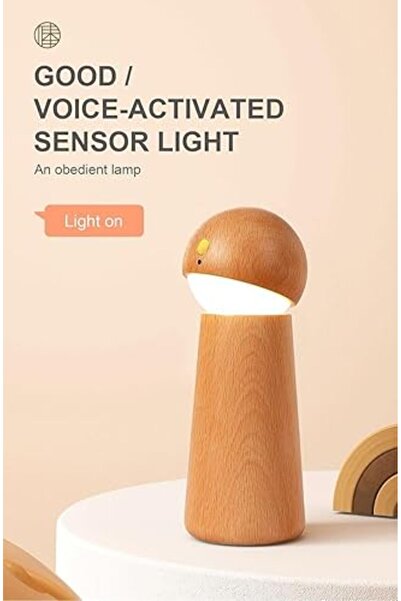 Generic GOOD Voice-Activated Sensor Light