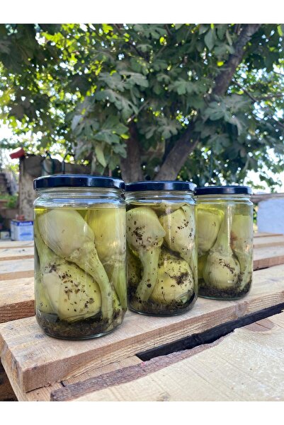 enginar mevsimi "tarladan sofranıza, doğru adres" Roma Usulü Saplı Bebek Enginar