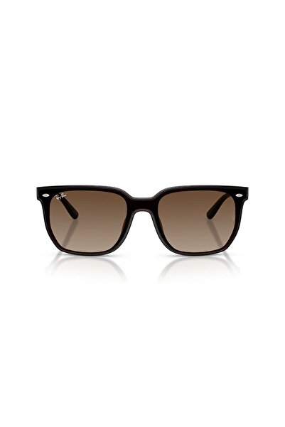Ray-Ban 0Rb 4466D 714/13 47 Unisex Sunglasses