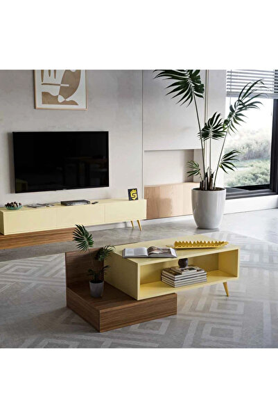Stylish Home Modern brown and beige TV stand and coffee table set - SH55