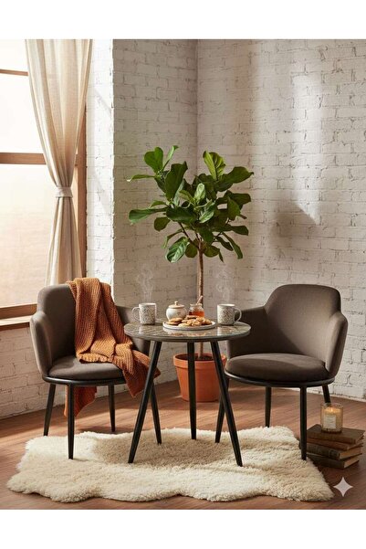 Generic Set of Tow velvet Chairs and Table with Coffee colour