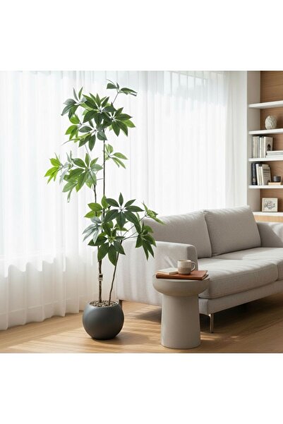 Casco نبتة صناعية من الشيفليرا بارتفاع 200 سم مع أصيص دائري أنيق