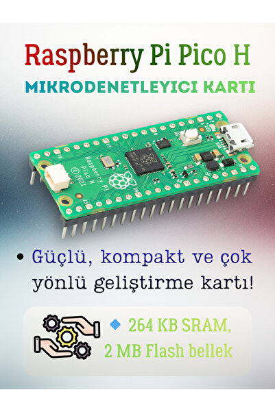 Arduino Raspberry Pi Pico H Mikrodenetleyici Kartı