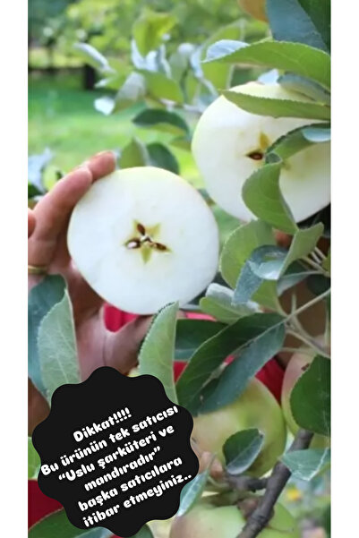 uslu şarküteri ve mandıra Amasya Misket ELMASI yeni mahsül 1kg.