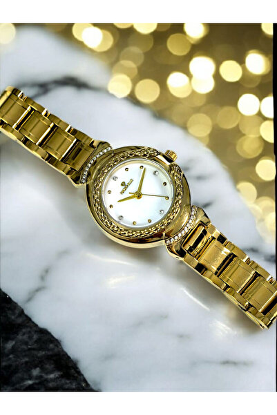 FANDER BLUE Vanderblue Women's Fashionable Steel Watch