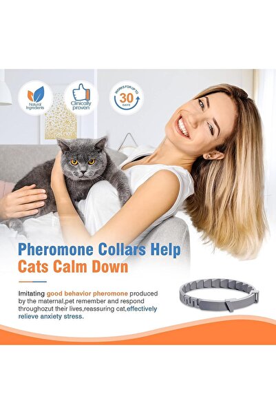 genernic Calming Cat Collar (Pheromone) - Up to 60 Days, Gray - Pack of 4