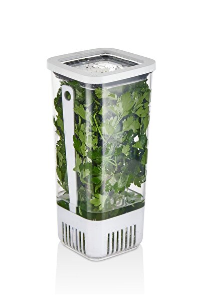 Technow Vp-007 Aquatic Greenery Storage Container 1.7 Liters