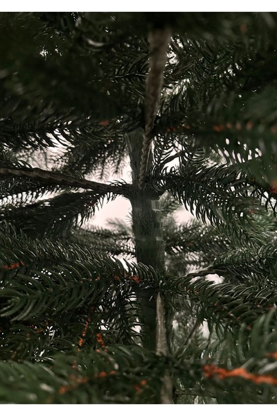 ChristmasExpress Artificial fir tree QUEEN green, 270cm 100% molded branches