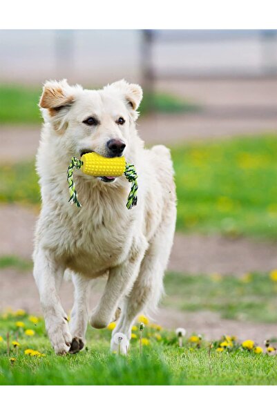 genernic Carllg Dog Chew Toy - Interactive Corn Stick 4.4in, Puppy Toothbrush, Aggressive Chewers, Medium Bre