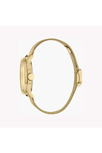 Esprit Women's Gold Stainless Steel Watch, Champagne Dial | Es1l198m0025