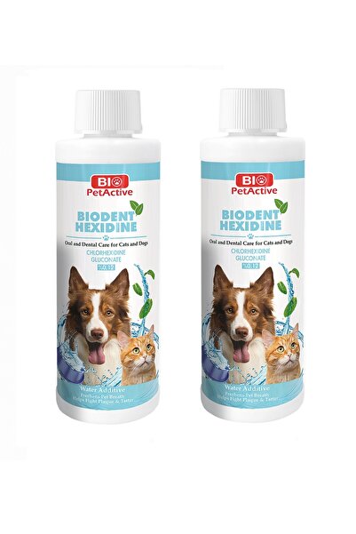Bio PetActive Biodent Hexidine Kedi ve Köpekler İçin Ağız Bakım Ürünü 250 ML ...