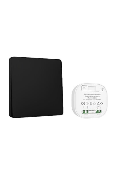 XtmGoods Wireless kinetic switch 433MHz XtmGoods, 1 receiver + 1 switch, 2000W, AC 90-250V, Black