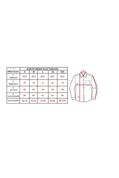 GÖMLEK GALERİSİ Slim Fit Sports Cut Panel Pattern Men's Long Sleeve Shirt