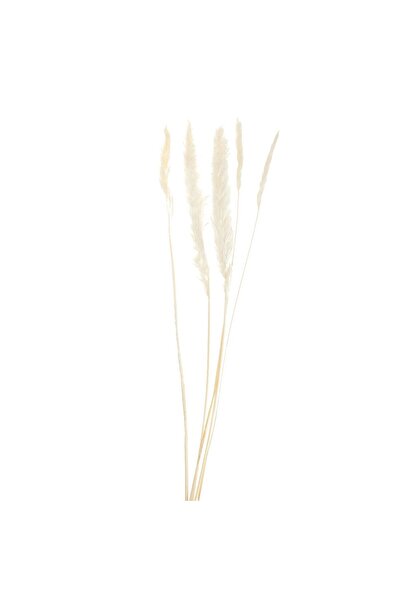 OEM Decorative Dried Pampas Sprig Ecru with Christmas Glitter 80cm - 5pcs