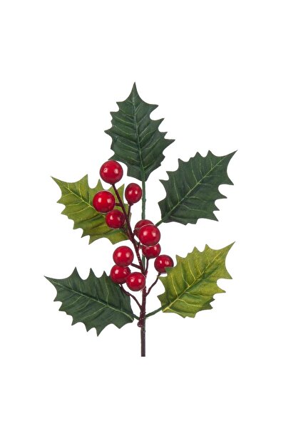 OEM Ramura Decorativa de Vasc cu Pomusoare 28cm