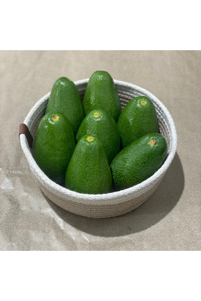 Sevilgen Avokado 5 Adet Fuerte Avokado 200-250 gr – Doğal, Katkısız, Taze ve Lezzetli