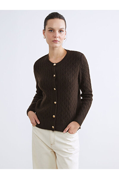 LC Waikiki Lcwaikiki classic brown crew neck self-printed women's knit cardigan