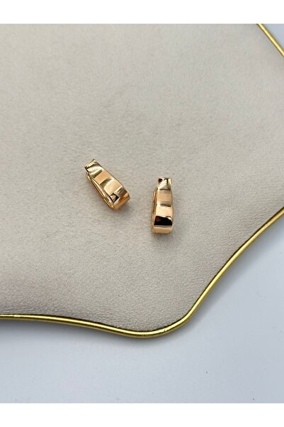 MyladyAccessoriess Rose Laser Cut Hoop Earrings (Brass Plated)