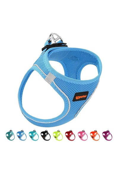 Catchy Pet Supplies Petex Köpek Göğüs Tasması, Küçük ve Orta Irk Köpekler için Tasma, Yavru Köpek Ta