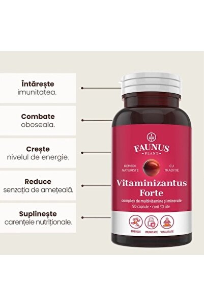 Faunus Plant Vitaminizantus Forte - Capsules with quality multivitamins and minerals, 90 capsules