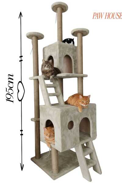 PAWHOUSE Kedi Oyun Parkuru