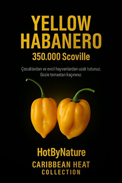 HotByNature YELLOW HABANERO / 350.000 Scoville - Gerçek Taze Acı Biber