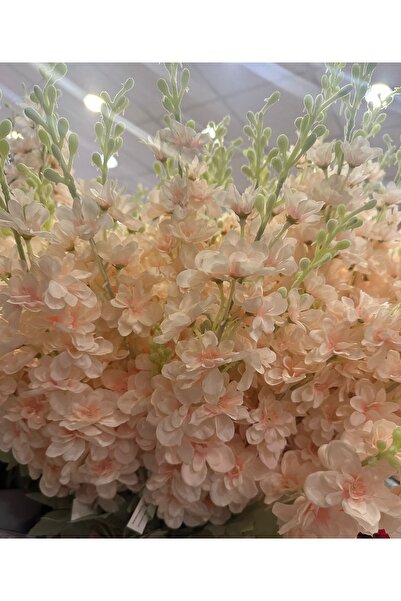 Ekol Çiçekçilik Şebboy tek dal 70santim boy somon rengi birinci sınıf kalite