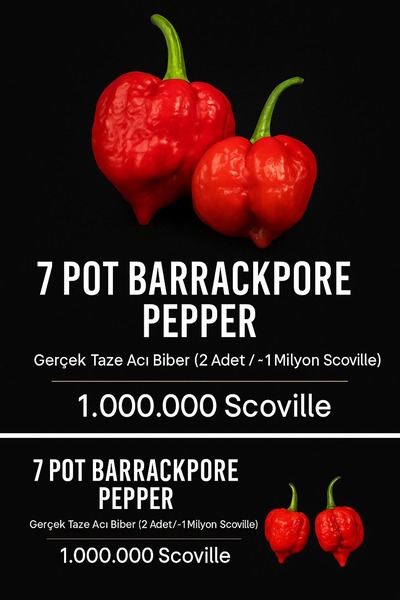 HotByNature 7 POT BARRACKPORE PEPPER 1 / 1 Milyon Scoville - Gerçek Taze Acı Biber