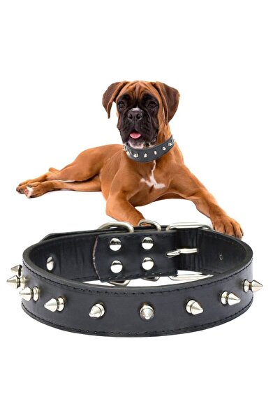 EBA Zgarda caine cu tinte eBA®, piele ecologica