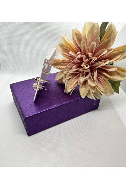 staınless steel 6 LI ZİRKON TAŞLI ÇELİK KÜPE SETİ