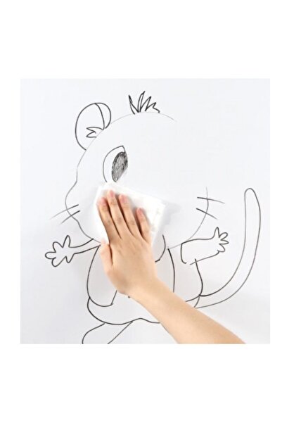 EBA Folie protectoare electrostatica transparenta eBA®, transparenta, 60 x 10...