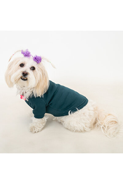 Buddy Store Premium Crew Neck Double Dog Sweatshirt Set – Cotton Comfortable Casual Wear (2 Items One Price)