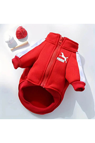 Lady Fify بغطاء رأس سويت شيرت شتوي للقطط والكلاب