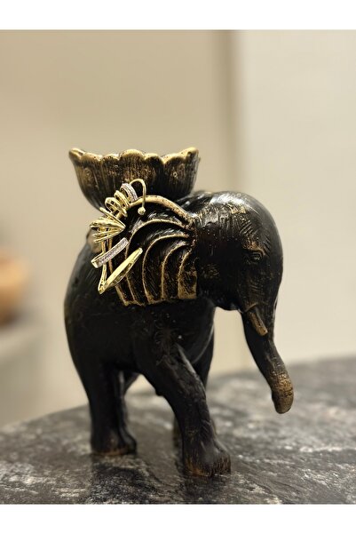 PALICE إيركارف من الفولاذ الذهبي (يمين)