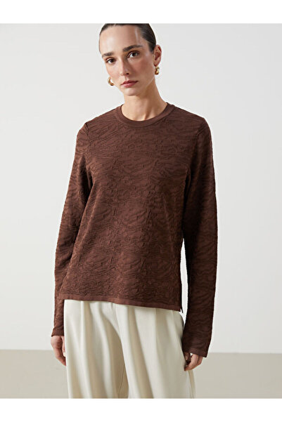 LC Waikiki Crew Neck Patterned Women's Knitwear Sweater