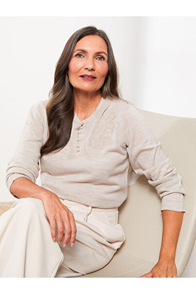 LC Waikiki Bisiklet Yaka Nakışlı Kadın Triko Kazak