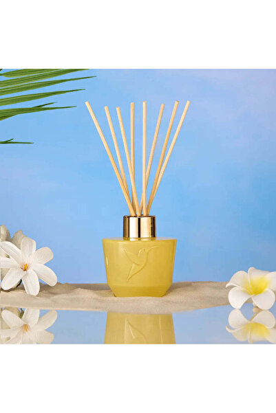 ADOPT موزع روائح مونوي ساكري 100 مل (موزع روائح مونوي المقدس)