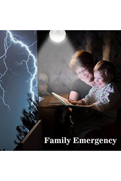 Generic Solar LED Light Bulbs for Indoor/Outdoor & Chicken Coops, Camping, 350 Lumen (Pack of 2)