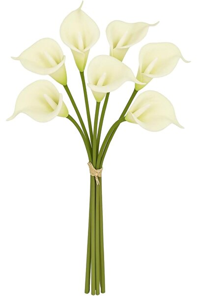 Goishtrie باقة زهور الكالا الاصطناعية (8 قطع) - أبيض فاتح